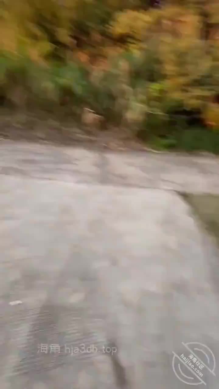 海角社区淫乱大神我的母狗房东 拉少妇房东树林里举腿爆操逼都被过路的看到了到家继续干颜射她脸上