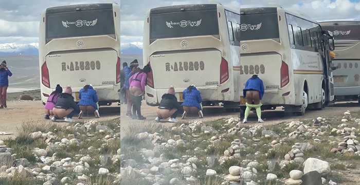 西藏旅游找不到厕所 憋不住了 一群女人集体在车尾小便被偷拍